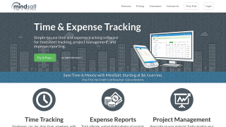 MindSalt Time Expense